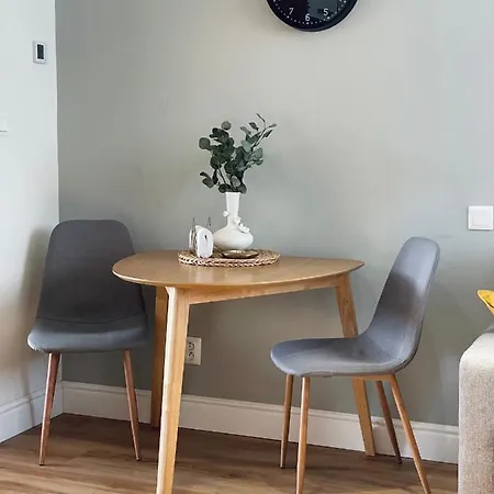 Myslbekova 17 Apartment Ostrava Exterior photo