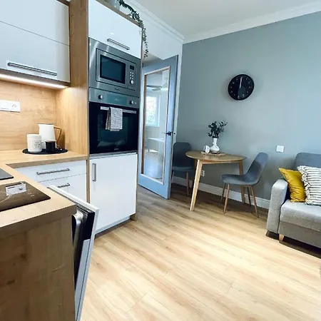 Myslbekova 17 Apartment Ostrava Exterior photo